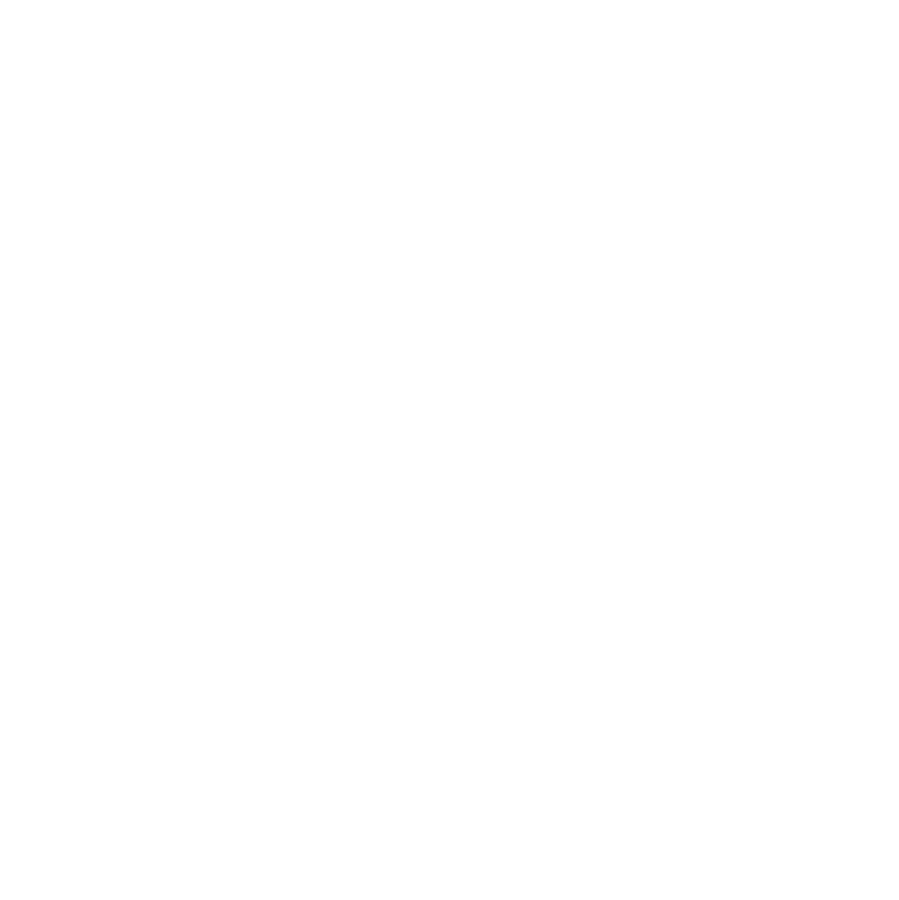 SHANGYUN logo